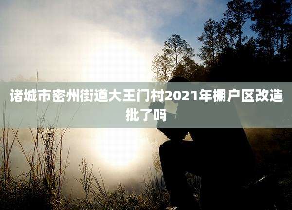诸城市密州街道大王门村2021年棚户区改造批了吗