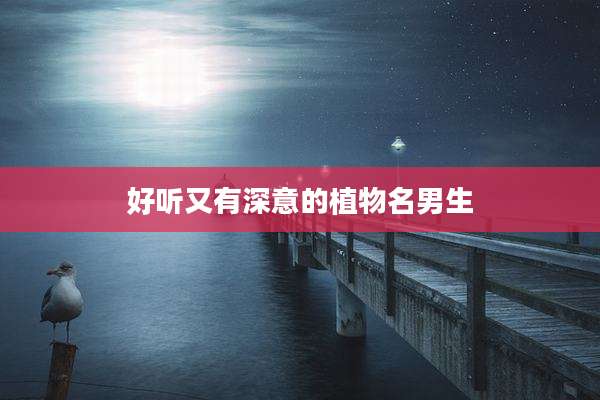 好听又有深意的植物名男生