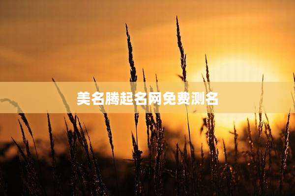 美名腾起名网免费测名