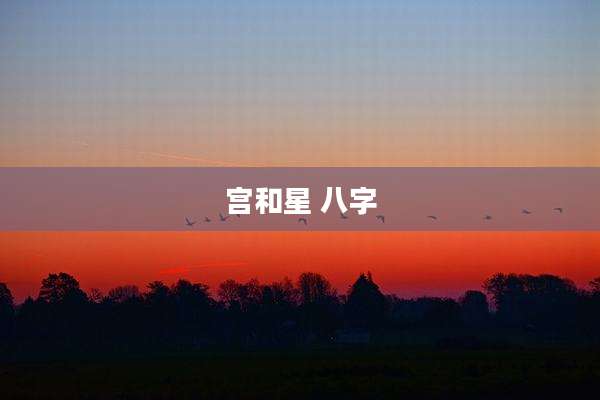 宫和星 八字