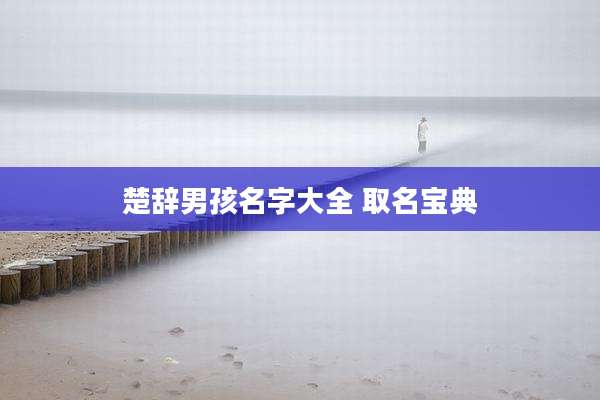 楚辞男孩名字大全 取名宝典