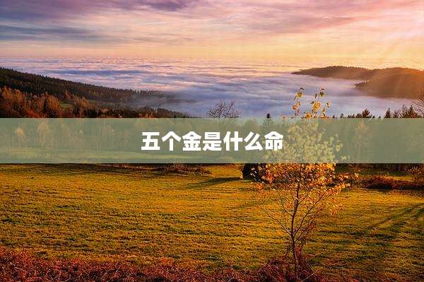 五个金是什么命
