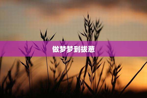 做梦梦到拔葱