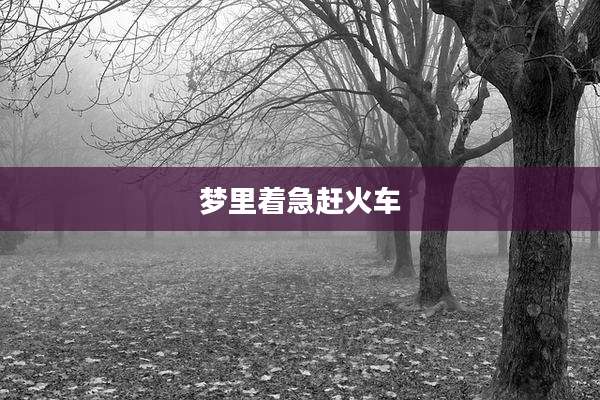 梦里着急赶火车
