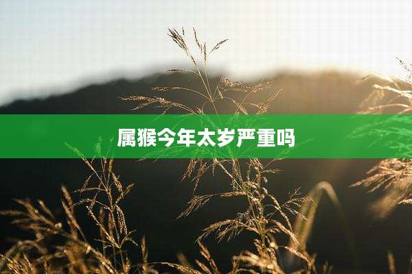 属猴今年太岁严重吗
