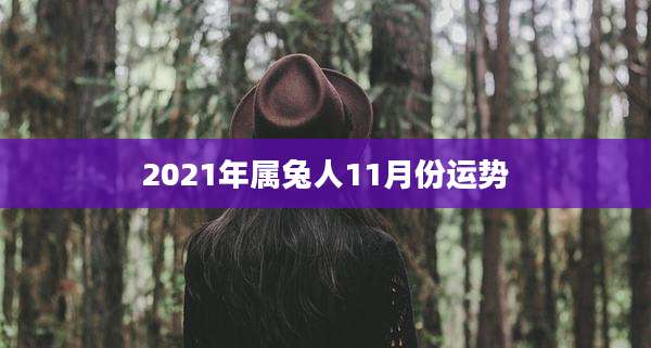 2021年属兔人11月份运势