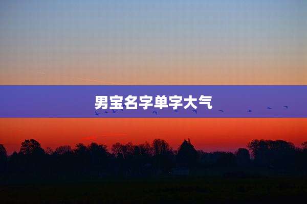 男宝名字单字大气
