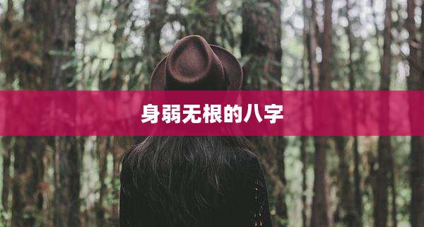 身弱无根的八字