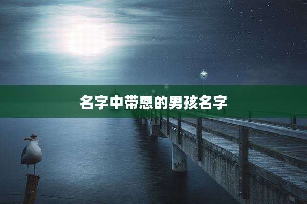 名字中带恩的男孩名字