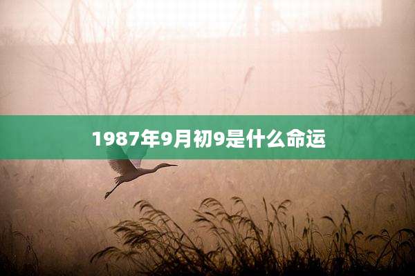 1987年9月初9是什么命运