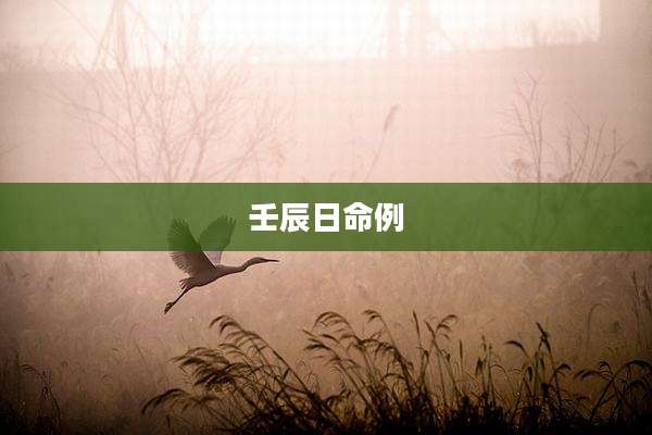 壬辰日命例