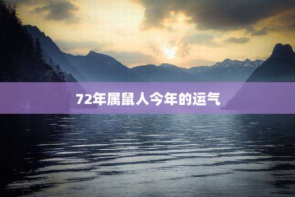 72年属鼠人今年的运气