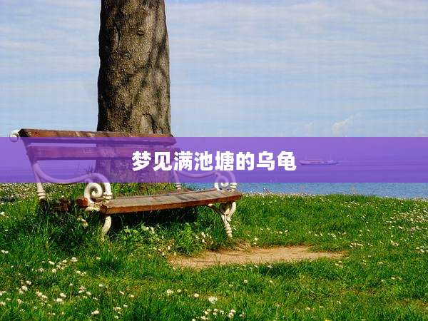 梦见满池塘的乌龟