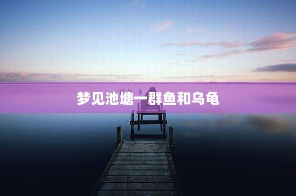 梦见池塘一群鱼和乌龟