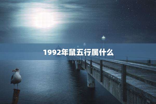 1992年鼠五行属什么
