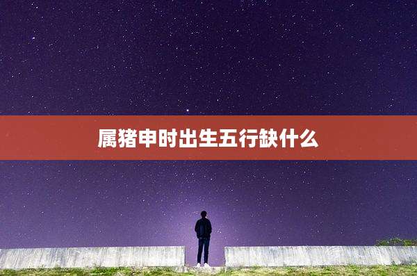 属猪申时出生五行缺什么
