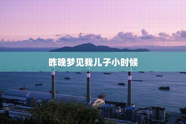 昨晚梦见我儿子小时候