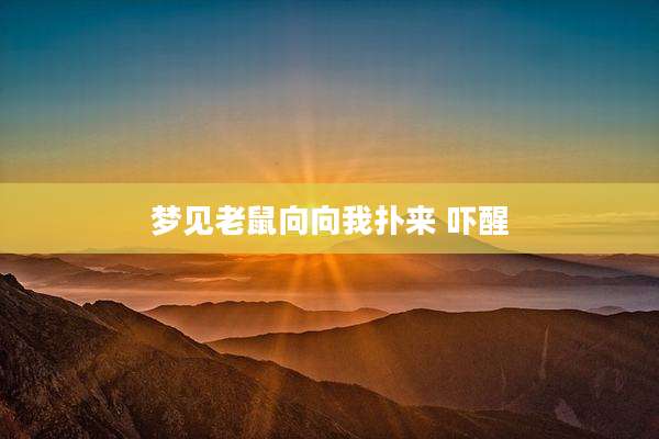梦见老鼠向向我扑来 吓醒