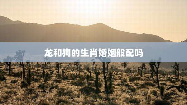 龙和狗的生肖婚姻般配吗