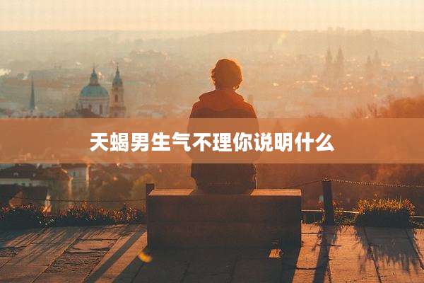 天蝎男生气不理你说明什么