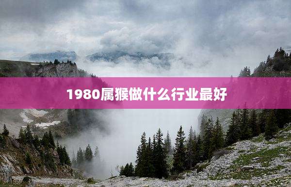 1980属猴做什么行业最好