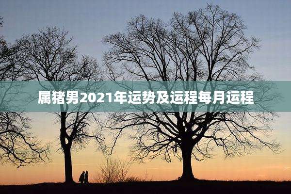属猪男2021年运势及运程每月运程