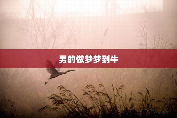 男的做梦梦到牛