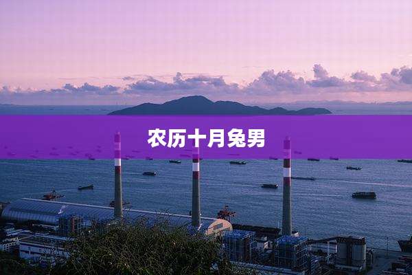 农历十月兔男
