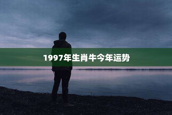 1997年生肖牛今年运势