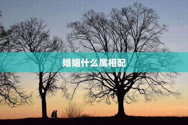 婚姻什么属相配