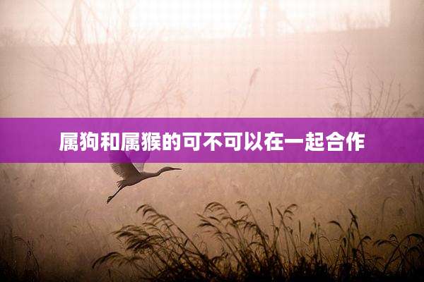 属狗和属猴的可不可以在一起合作