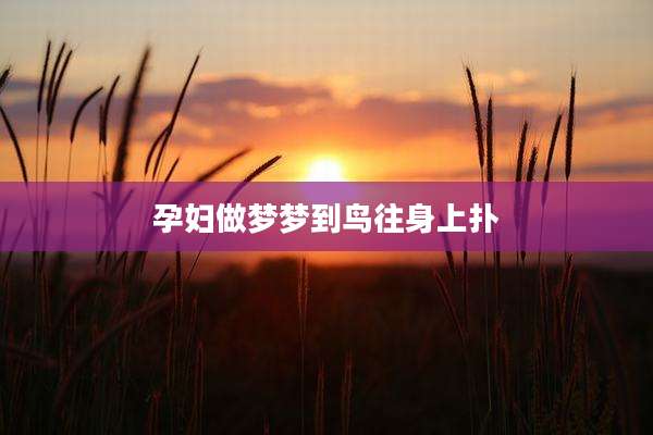 孕妇做梦梦到鸟往身上扑