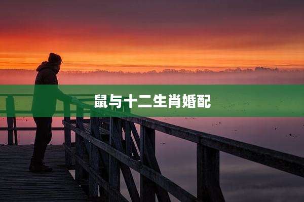 鼠与十二生肖婚配