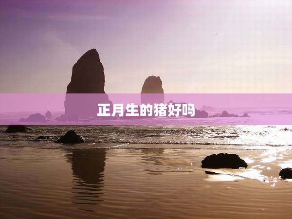 正月生的猪好吗