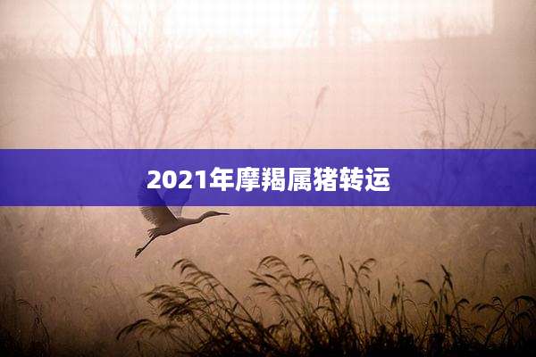 2021年摩羯属猪转运