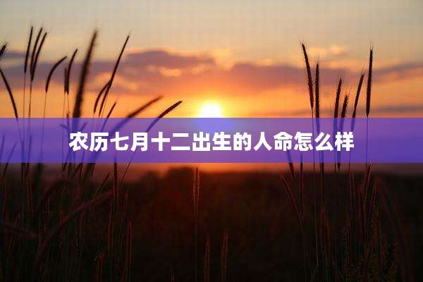农历七月十二出生的人命怎么样
