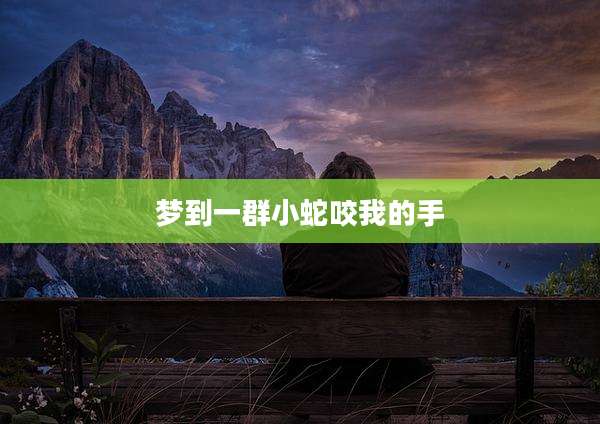 梦到一群小蛇咬我的手