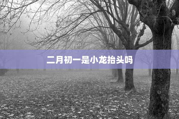 二月初一是小龙抬头吗