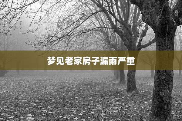 梦见老家房子漏雨严重