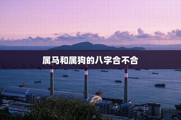 属马和属狗的八字合不合