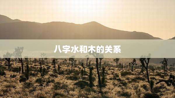八字水和木的关系