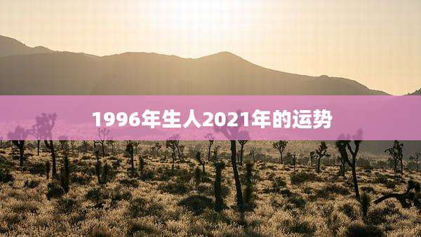 1996年生人2021年的运势
