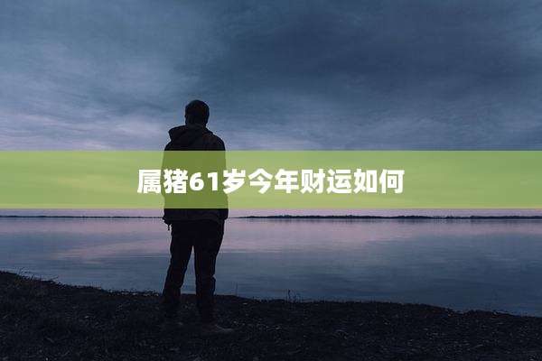 属猪61岁今年财运如何