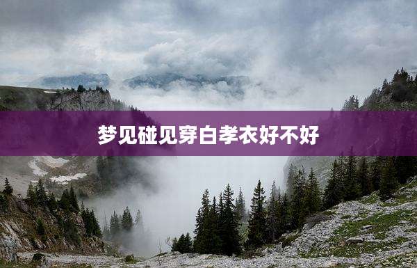 梦见碰见穿白孝衣好不好