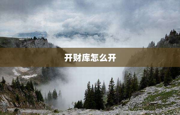 开财库怎么开