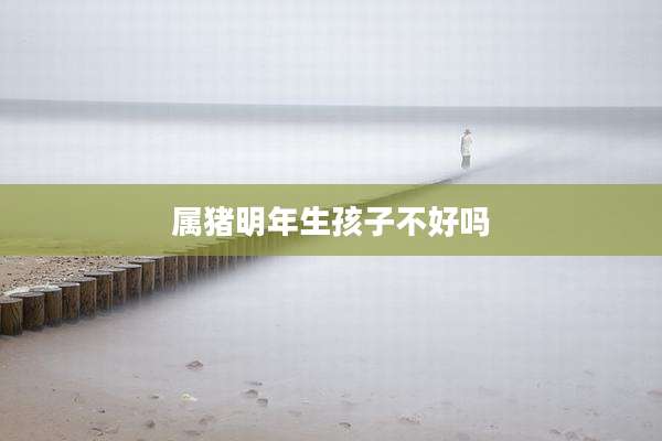 属猪明年生孩子不好吗