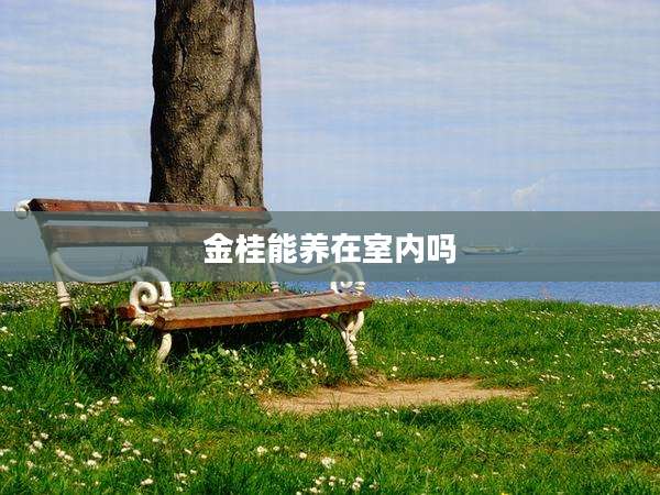 金桂能养在室内吗