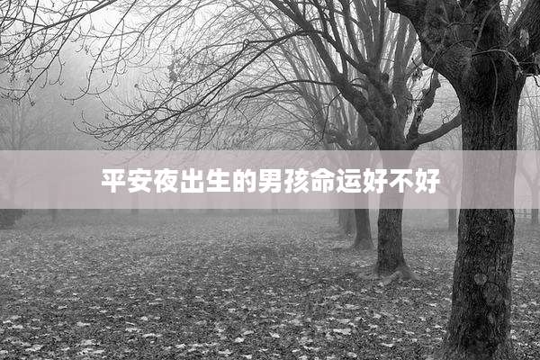 平安夜出生的男孩命运好不好