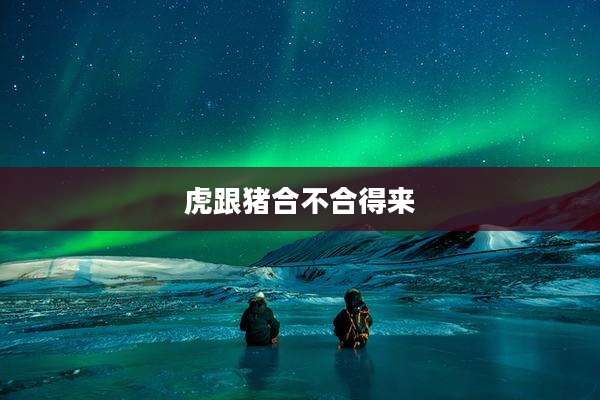 虎跟猪合不合得来