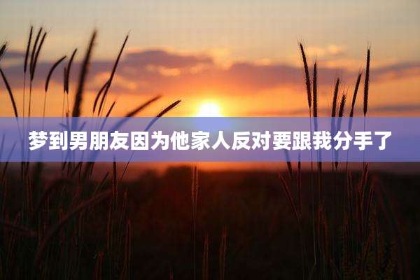 梦到男朋友因为他家人反对要跟我分手了